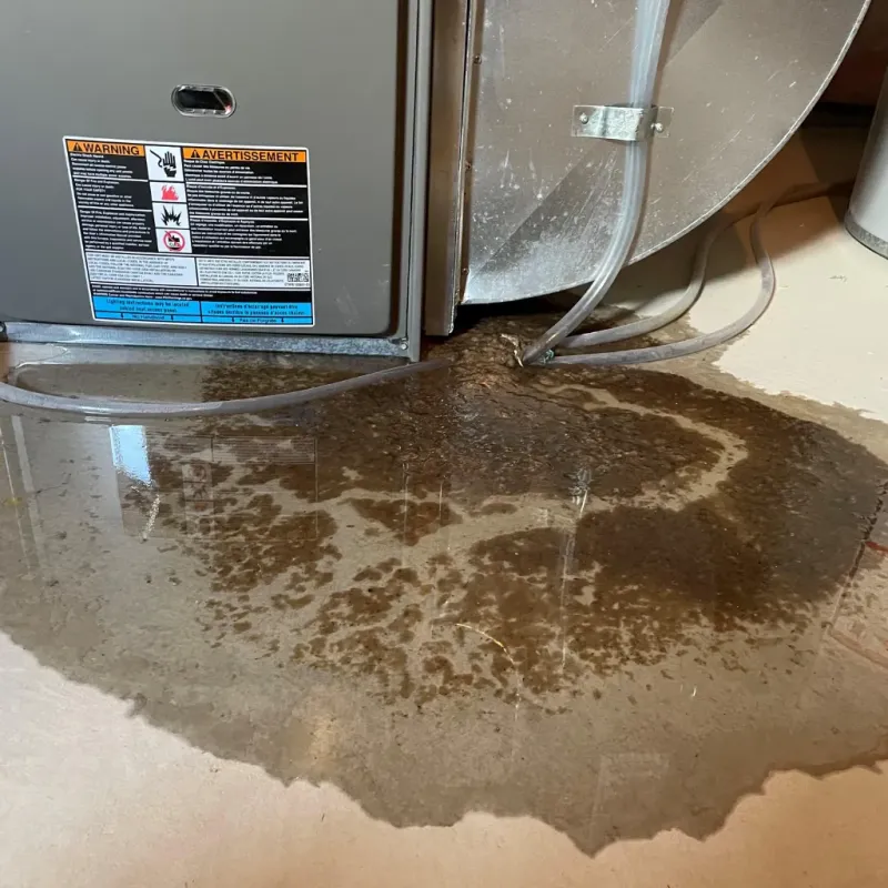 Appliance Leak Cleanup in Las Quintas Fronterizas, TX