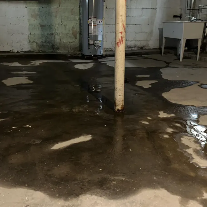 Emergency Water Extraction And Removal in Las Quintas Fronterizas, TX